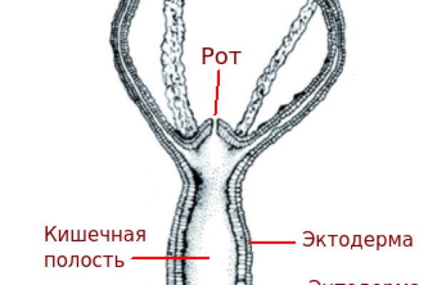 Кракен войти сегодня