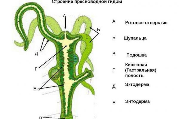 Как зайти на кракен браузеры